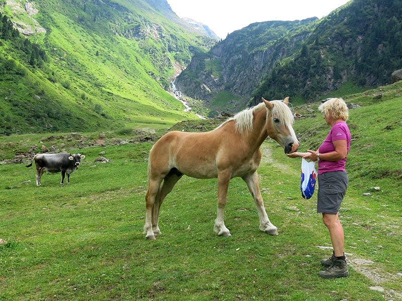 Mairspitze